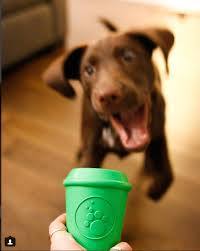 Coffee Cup Durable Rubber Chew Toy and Treat Dispenser - Large - Green