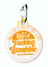 Ray of F Sunshine